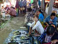 4 - Lac Inle - Pindaya - Kalaw (33)